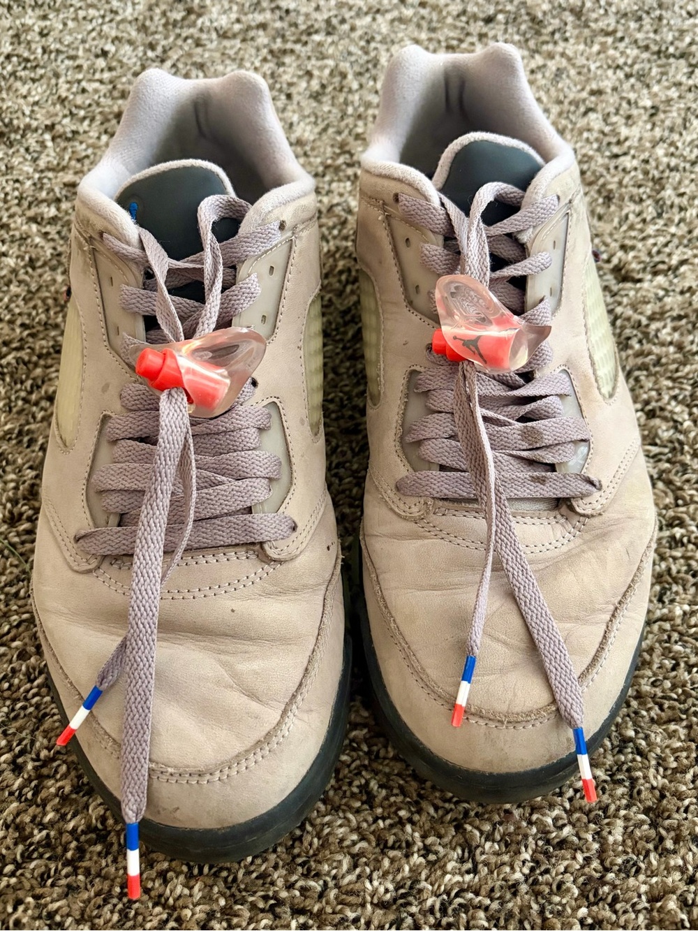 Jordan 5 PSGs